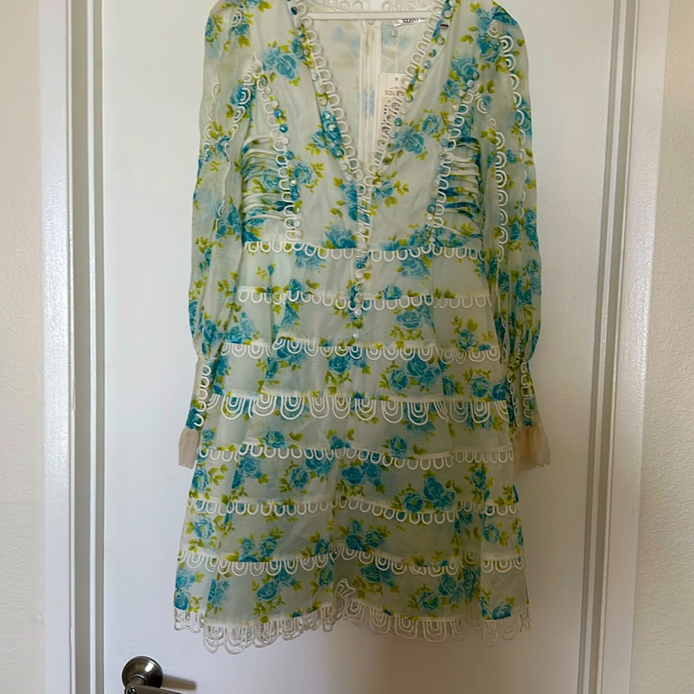 Zimmerman inspired dress